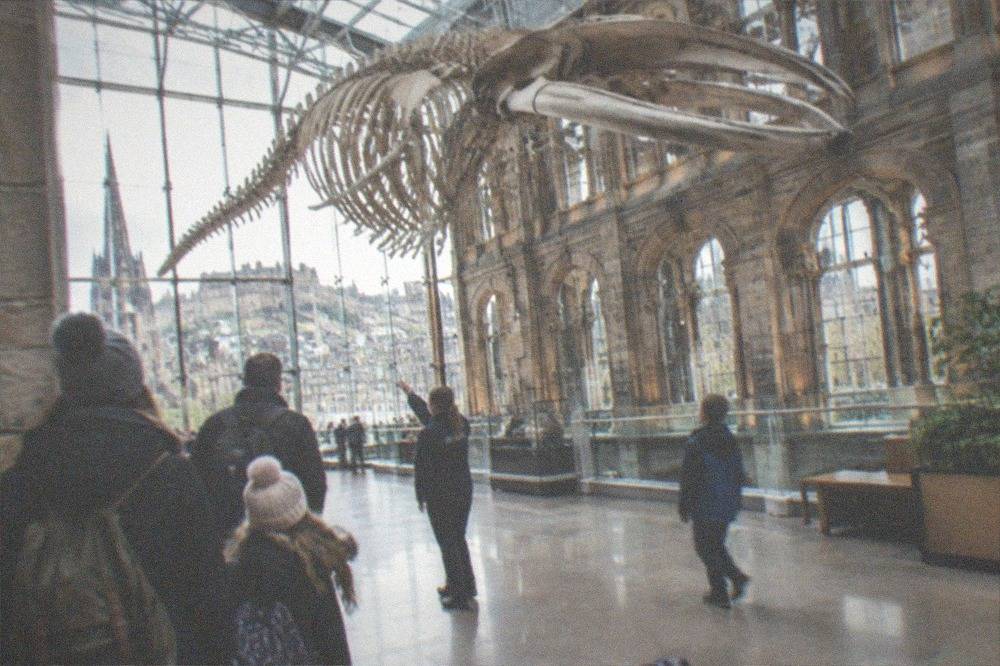 Families walking through a bright museum atrium with a large suspended exhibit